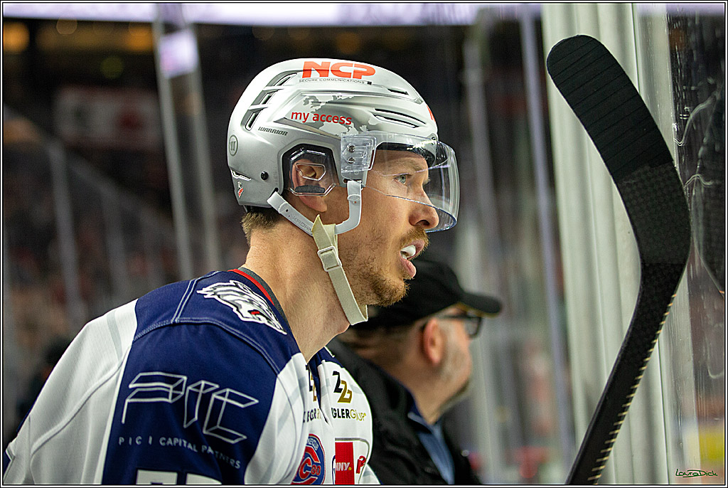 PENNY DEL; Koelner Haie- Nuernberger Ice Tigers; Koeln, 29.01.2023